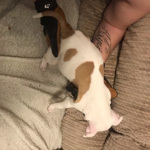 Meet your Posher, Clayton